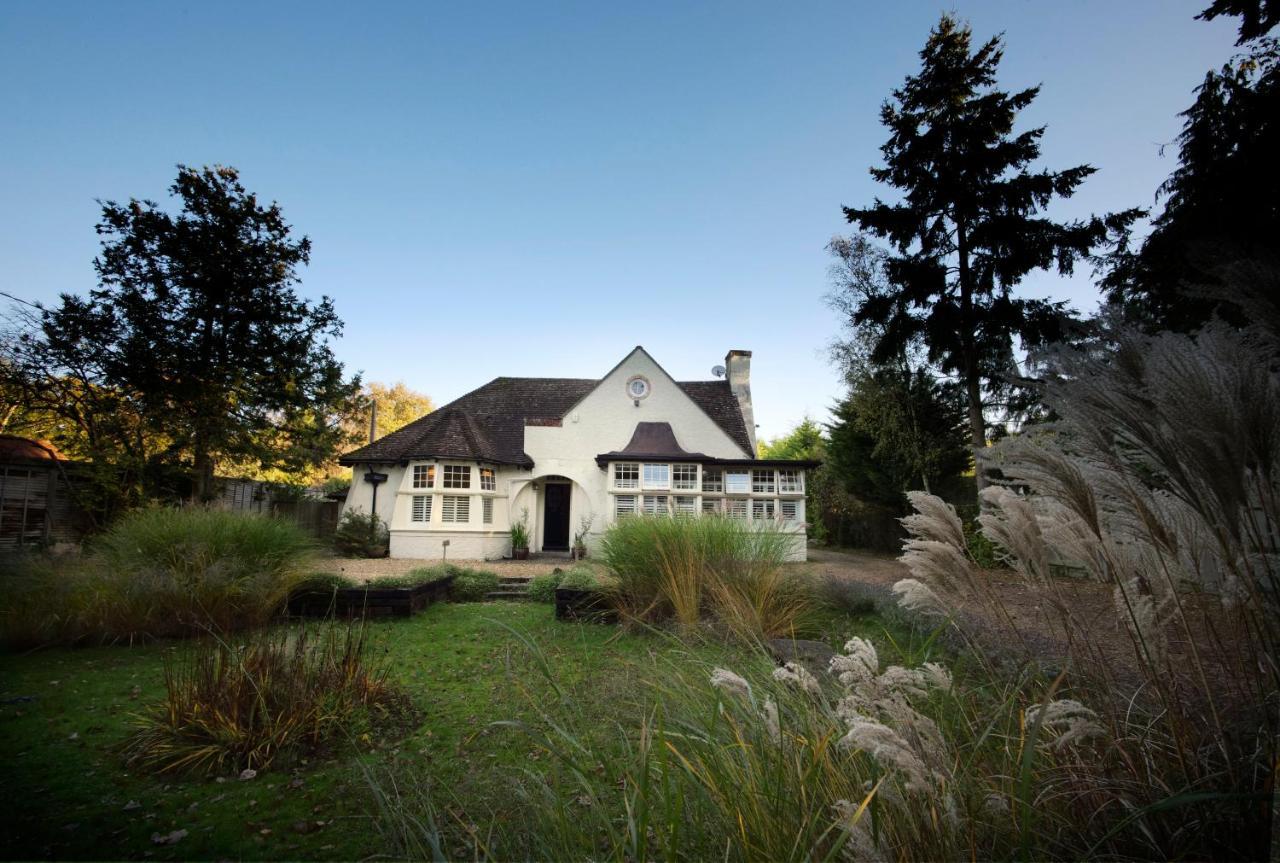 Daisybank Cottage Boutique Bed And Breakfast ブロッケンハースト エクステリア 写真