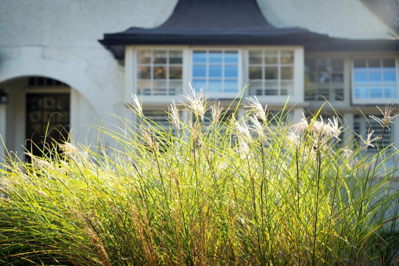 Daisybank Cottage Boutique Bed And Breakfast ブロッケンハースト エクステリア 写真